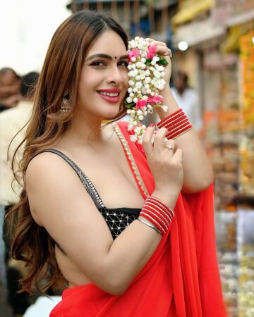Neha Malik's Sizzling Party Look in Red Saree